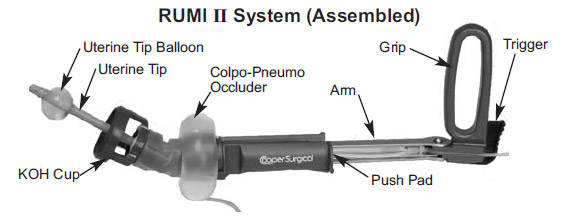 RUMI II