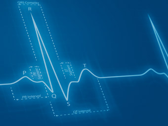 Electrocardiography Equipment